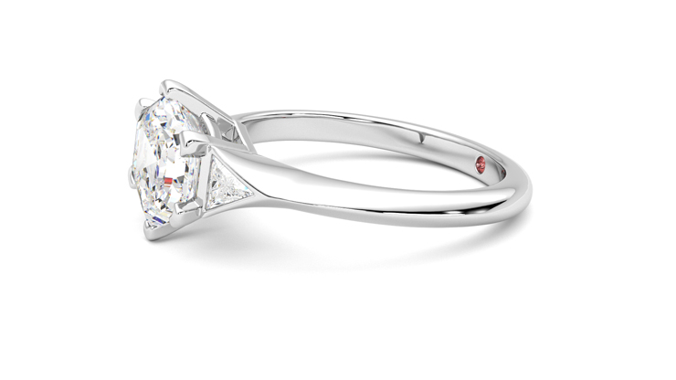 Gossamer | Platinum trilogy style engagement ring | Taylor & Hart