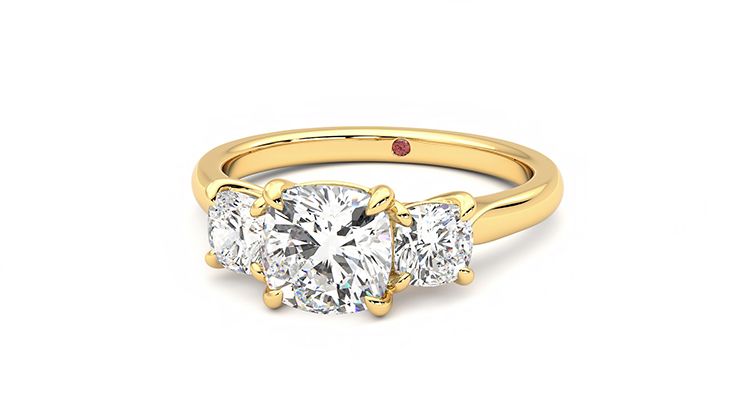 Taylor & Hart Harmony Cushion Engagement Ring 360 degree image 27