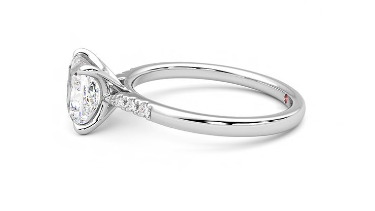 Taylor & Hart Lissome Princess Engagement Ring 360 degree image 21