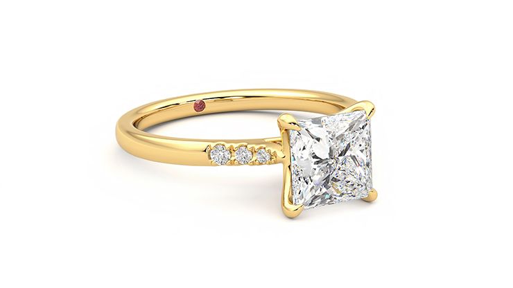 Taylor & Hart Lissome Princess Engagement Ring 360 degree image 5