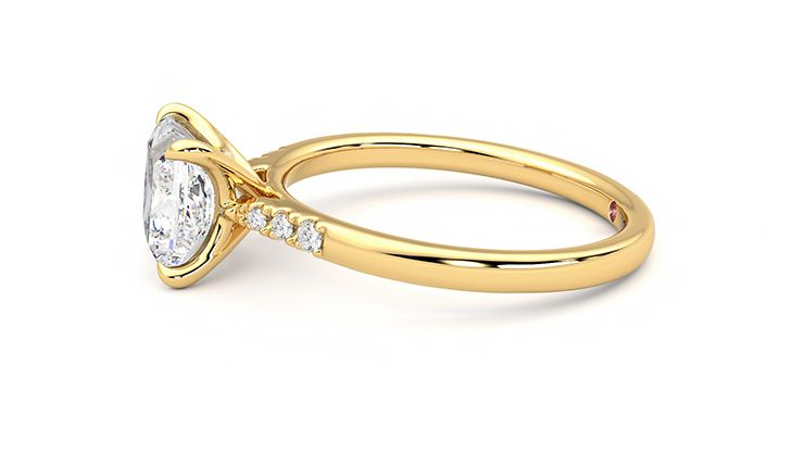 Taylor & Hart Lissome Princess Engagement Ring 360 degree image 21