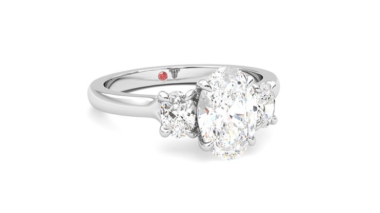 Taylor & Hart Orion Oval Engagement Ring 360 degree image 4