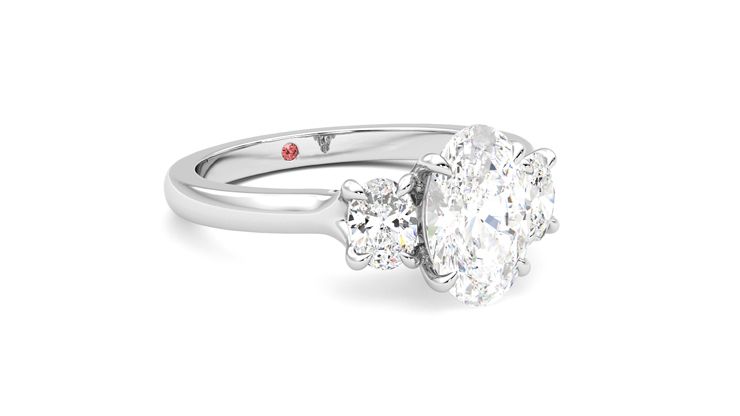 Taylor & Hart Orion Oval Engagement Ring 360 degree image 5