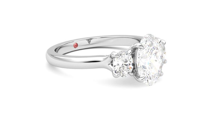 Taylor & Hart Orion Oval Engagement Ring 360 degree image 6