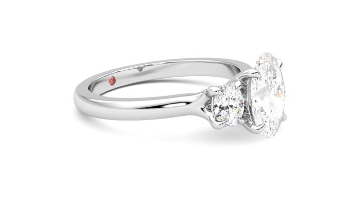 Taylor & Hart Orion Oval Engagement Ring 360 degree image 7