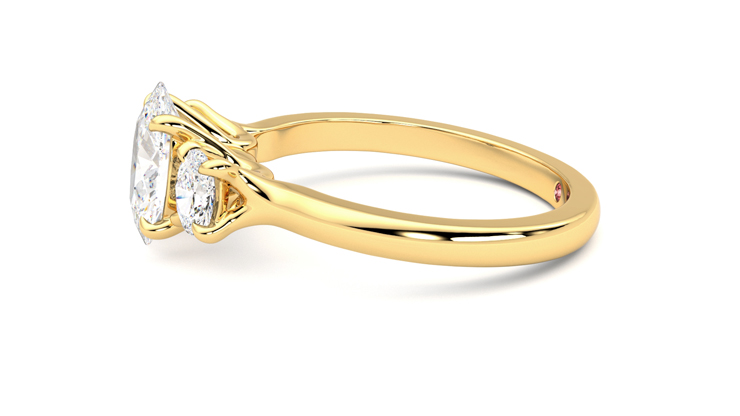 Taylor & Hart Orion Oval Engagement Ring 360 degree image 21