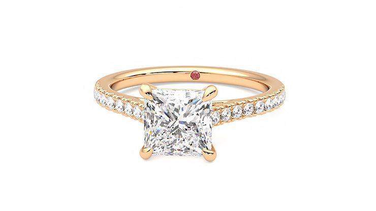 Taylor & Hart Serendipity Princess Engagement Ring 360 degree image 28