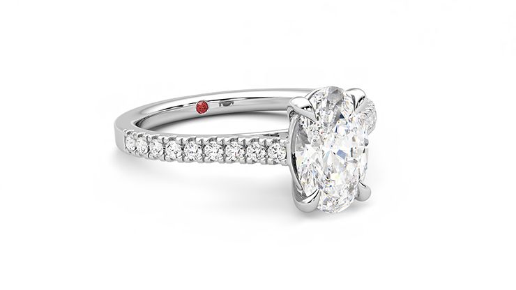 Taylor & Hart Serendipity Oval Engagement Ring 360 degree image 4