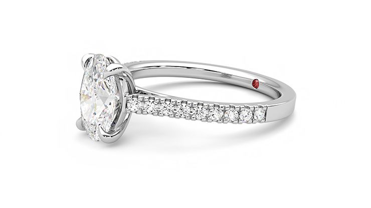 Taylor & Hart Serendipity Oval Engagement Ring 360 degree image 22