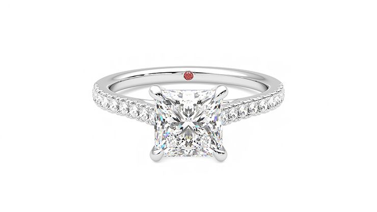 Taylor & Hart Serendipity Princess Engagement Ring 360 degree image 0