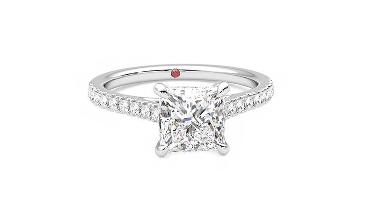 Taylor & Hart Serendipity Princess Engagement Ring 360 degree image 2