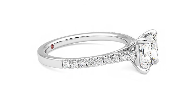 Taylor & Hart Serendipity Princess Engagement Ring 360 degree image 8