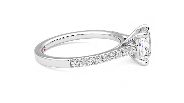 Taylor & Hart Serendipity Princess Engagement Ring 360 degree image 9