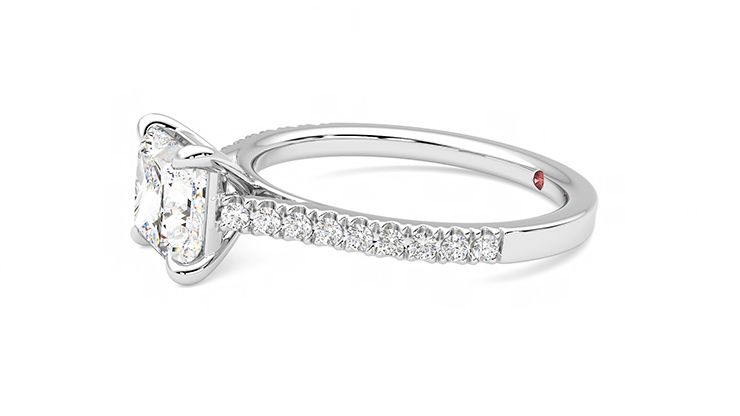 Taylor & Hart Serendipity Princess Engagement Ring 360 degree image 22