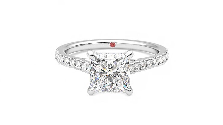 Taylor & Hart Serendipity Princess Engagement Ring 360 degree image 29