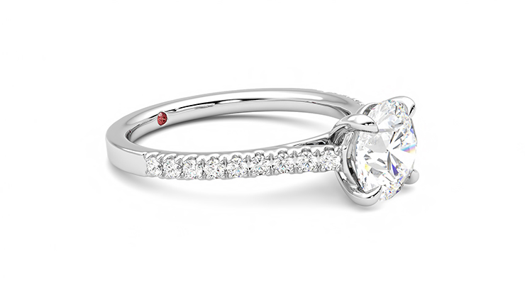Taylor & Hart Serendipity Round Engagement Ring 360 degree image 7