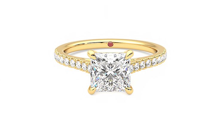 Taylor & Hart Serendipity Princess Engagement Ring 360 degree image 0
