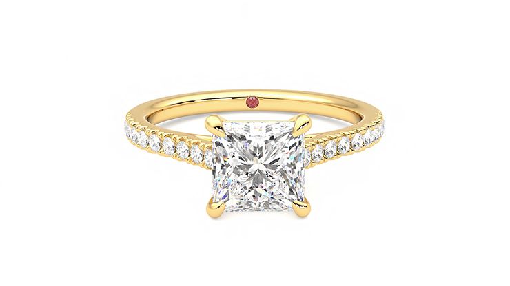 Taylor & Hart Serendipity Princess Engagement Ring 360 degree image 1