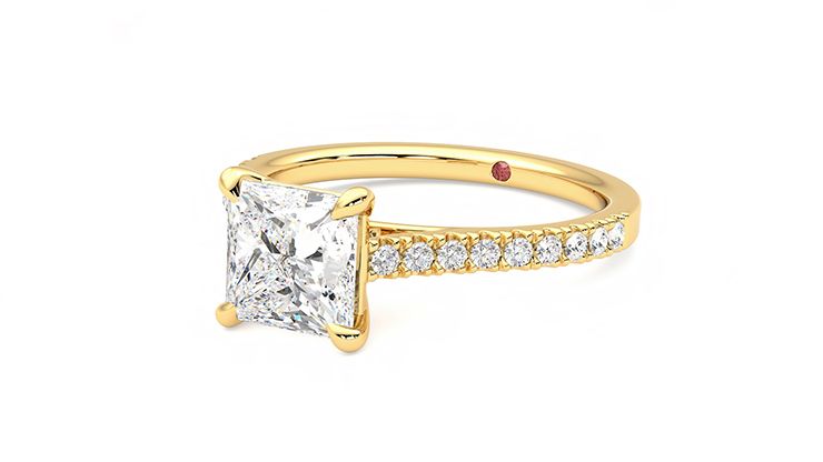 Taylor & Hart Serendipity Princess Engagement Ring 360 degree image 25