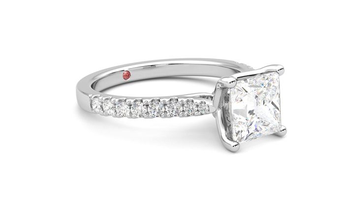 Taylor & Hart Splendor Princess Engagement Ring 360 degree image 6