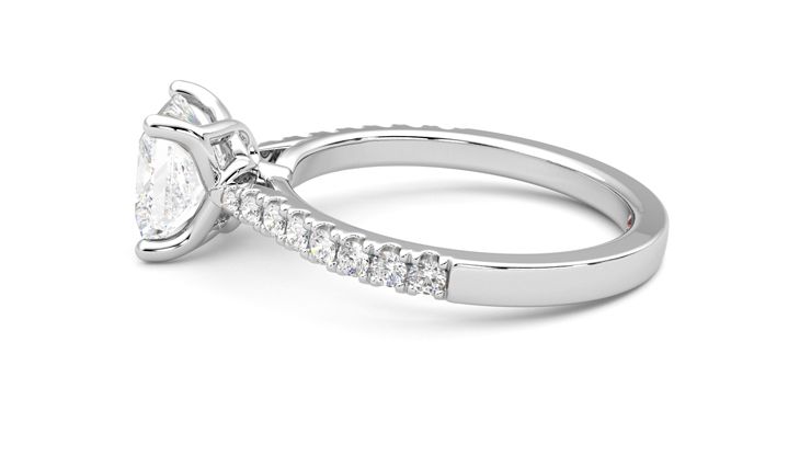 Taylor & Hart Splendor Princess Engagement Ring 360 degree image 20