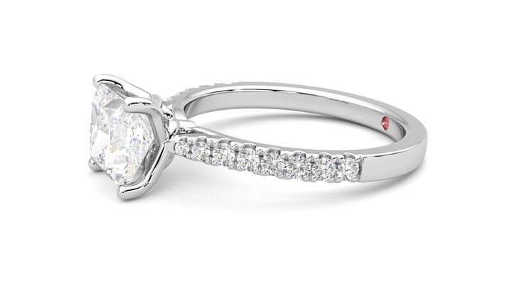 Taylor & Hart Splendor Princess Engagement Ring 360 degree image 22
