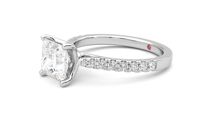 Taylor & Hart Splendor Princess Engagement Ring 360 degree image 23