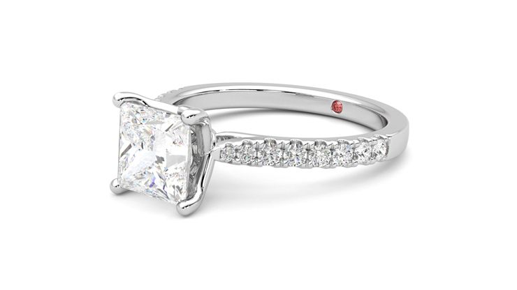 Taylor & Hart Splendor Princess Engagement Ring 360 degree image 24