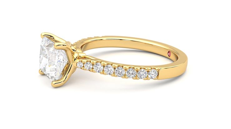 Taylor & Hart Splendor Princess Engagement Ring 360 degree image 22