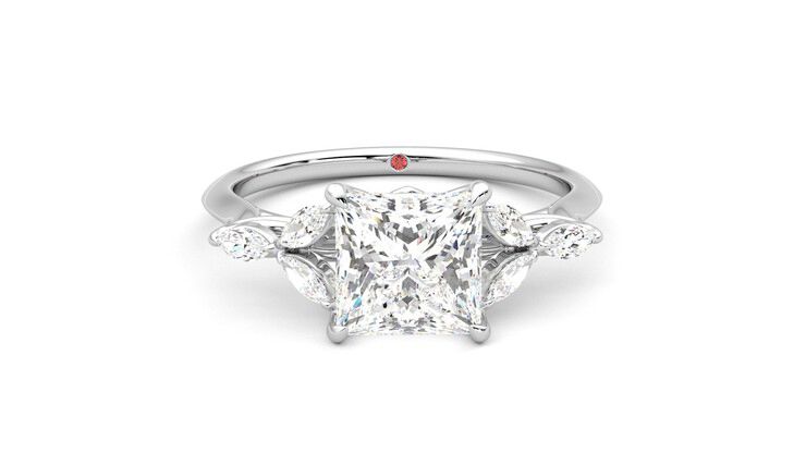 Taylor & Hart Tamora Princess Engagement Ring 360 degree image 1