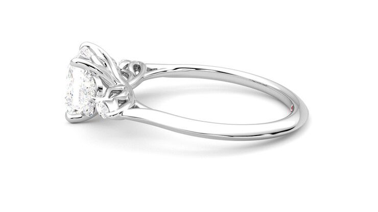 Taylor & Hart Tamora Princess Engagement Ring 360 degree image 20