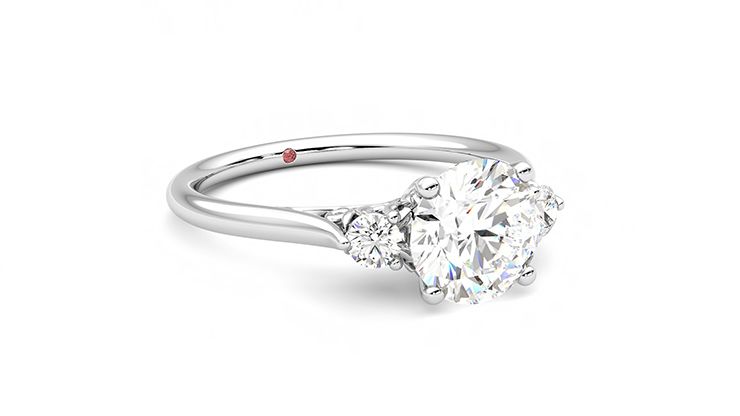Taylor & Hart Thimble Round Engagement Ring 360 degree image 5