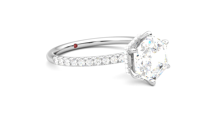 Taylor & Hart Thyme Hexagonal Engagement Ring 360 degree image 6