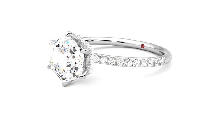 Taylor & Hart Thyme Hexagonal Engagement Ring 360 degree image 24