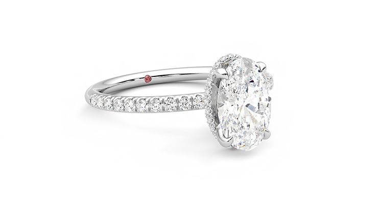 Taylor & Hart Thyme Oval Engagement Ring 360 degree image 5