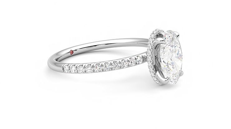 Taylor & Hart Thyme Oval Engagement Ring 360 degree image 7