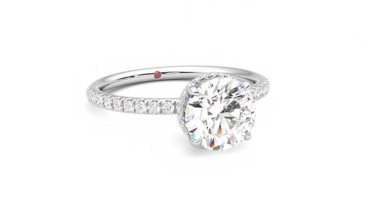 Taylor & Hart Thyme Round Engagement Ring 360 degree image 4