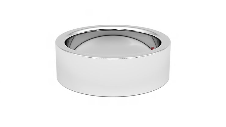 Taylor & Hart Sequoia Wedding Ring 360 degree image 21