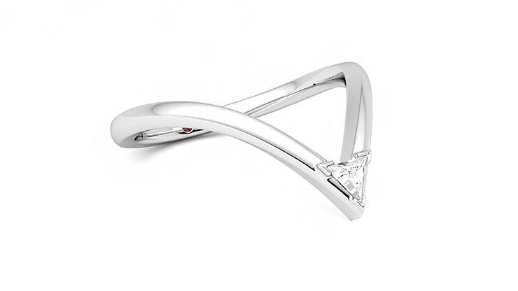 Taylor & Hart Shasta Wedding Ring 360 degree image 5