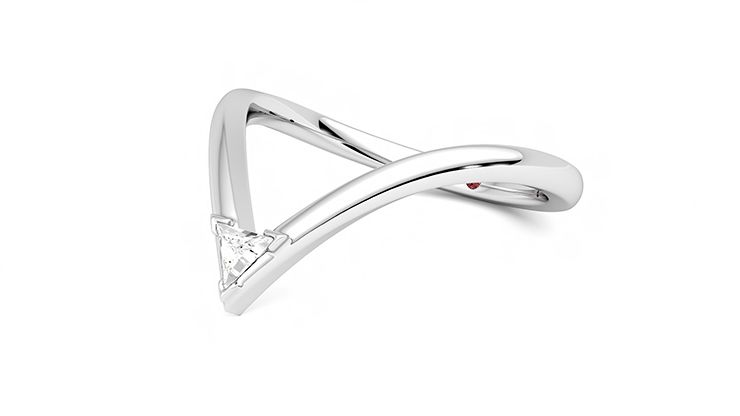 Taylor & Hart Shasta Wedding Ring 360 degree image 23