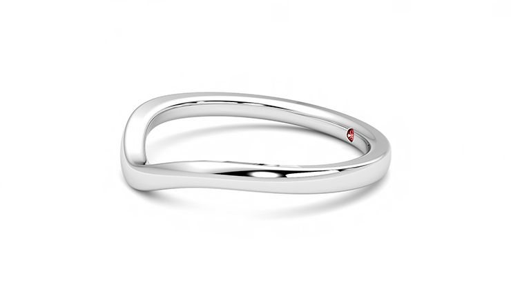 Taylor & Hart Vista Wedding Ring 360 degree image 22